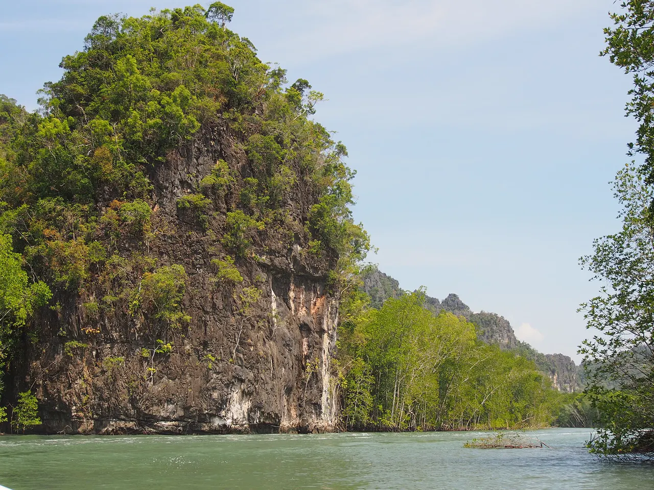 Mangroves and limestone cliffs along the river in Kilim Karst Geoforest Park